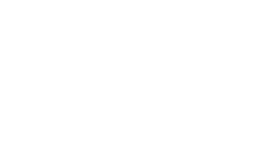 Vibra